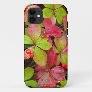 Case-Mate iPhone Case Canada, Colombie-Britannique, mont Robson
