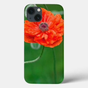Etui iPhone Case-Mate Canada, Nouveau-Brunswick, ,