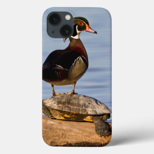 iPhone 13 Case Canard branchu mâle debout sur une Tortue à oreill