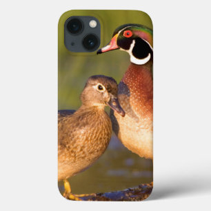 Etui iPhone Case-Mate Canards branchards et femelle sur une bûche dans u