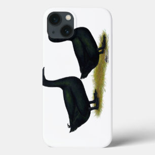Case-Mate iPhone Case Canards : Cayugas noirs