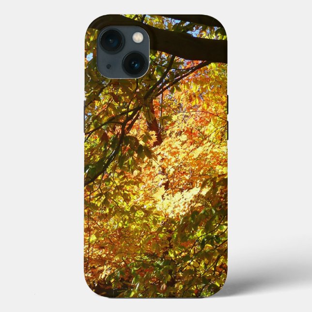 Coques Case-Mate iPhone Canopée Feuilles d'automne I Jaune Automne Nature (Verso)