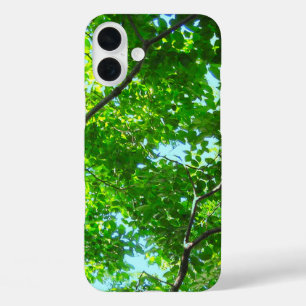 Coques iPhone 16 Plus Canopée verte, Branches feuillues avec ciel bleu