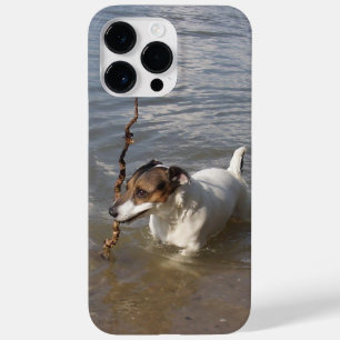 Coque Pour Pour iPhone 14 Pro Max Capo von Oppenheim Jack Russell Terrier, Chien