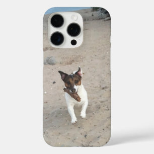 Coques iPhone 16 Pro Capo von Oppenheim Jack Russell Terrier, Chien