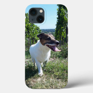 Case-Mate iPhone Case Capo von Oppenheim Jack Russell Terrier, Chien