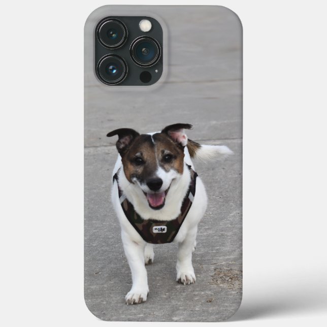 Coques Case-Mate iPhone Capo von Oppenheim, Jack Russell Terrier Chien (Verso)