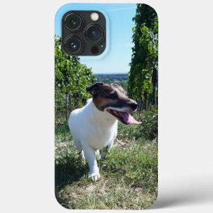 Case-Mate iPhone Case Capo von Oppenheim Jack Russell Terrier, Chien