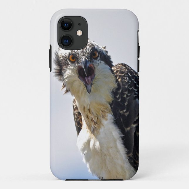 Coques Case-Mate iPhone Capture d'écran Osprey Fish-Eagle Wildlife Photogr (Dos)