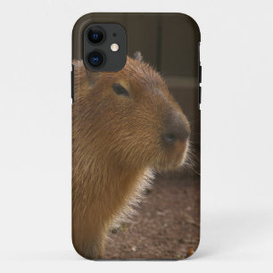 Coque iPhone 11 Capybara