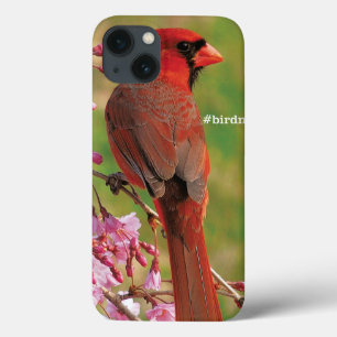 Etui iPhone Case-Mate Cardinal de Northern