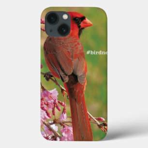 Etui iPhone Case-Mate Cardinal du nord