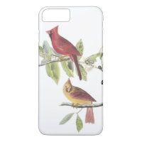 Cardinal du Nord par Audubon
