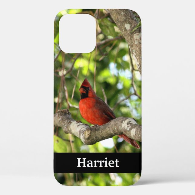 Coques Case-Mate iPhone Cardinal rouge dans l'arbre Personnalisé (Verso)