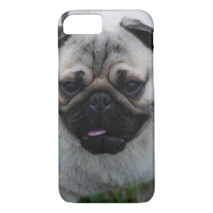 Etui iPhone Case-Mate Carlin adorable