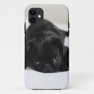 Coque Case-Mate Pour iPhone Carlin noir chiot
