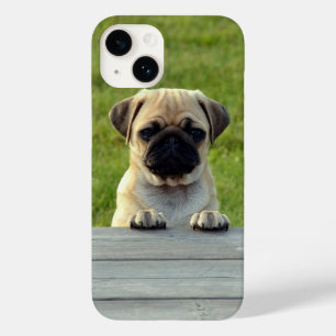 Coque Pour iPhone 14 Carlin Pup Cute Photo