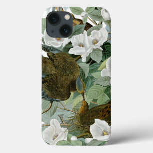 Etui iPhone 13 Carolina Pigeon Audubon Morning Dove