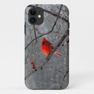 Coque iPhone 11 Cas cardinal masculin de l'iPhone 5