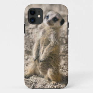 Case-Mate iPhone Case Cas de Coque-Compagnon de l'iPhone 5 de