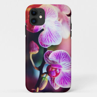 Etui iPhone Case-Mate Cas de Coque-Compagnon "deux orchidées Colorized "