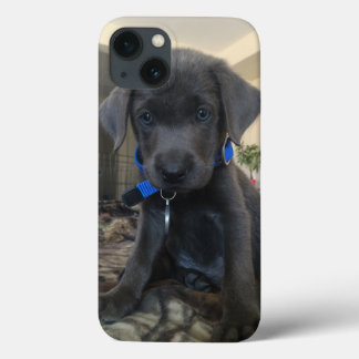Etui iPhone Case-Mate cas de Labrador de charbon de bois