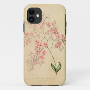 Coques Pour iPhone cas de l'iPhone 5 - illustration vintage