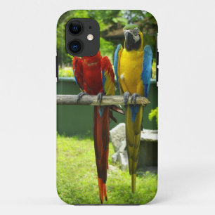 Etui iPhone Case-Mate Cas de téléphone d'ara