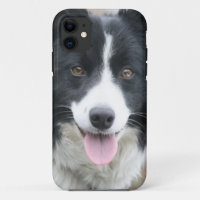 Cas de téléphone de border collie