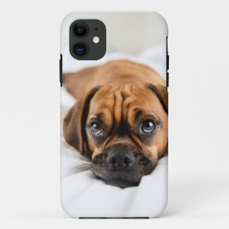 Case-Mate iPhone Case Cas mignon de chien de Puggle
