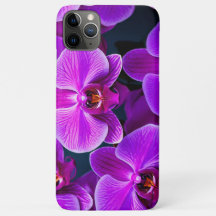 Cas téléphonique de Purple Majesty