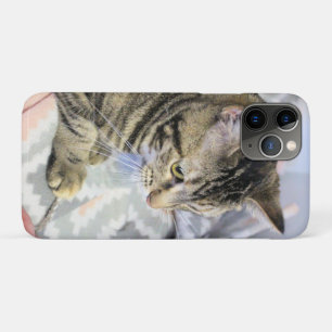 Case-Mate iPhone Case Cat