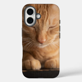 Coques iPhone 16 Cat Apple Iphone 16 Case