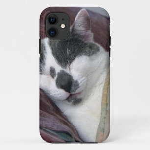 Etui iPhone Case-Mate Cat Napping