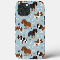 Cavalier King Charles Spaniel Paws and Bones