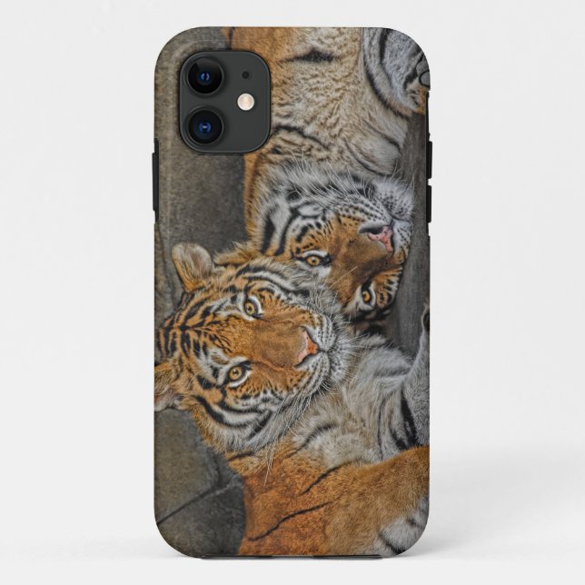 Coques Case-Mate iPhone Caverne de tigre (Dos)