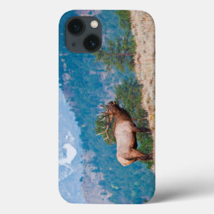 Etui iPhone 13 Cerf élaphe (Cervus Elephus) mâle bramant