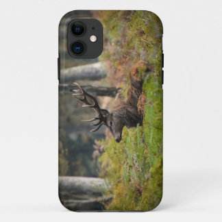 Case-Mate iPhone Case Cerf en forêt de fontainebleau