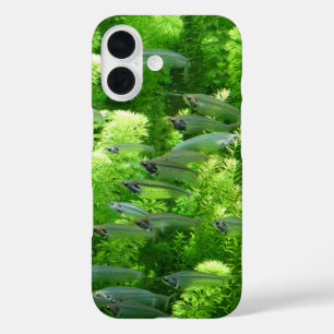 Coques iPhone 16 Chalet de poisson d'argent transparent