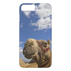 Coque iPhone 8 Plus/7 Plus Chameau devant les pyramides de Gizeh, Égypte,