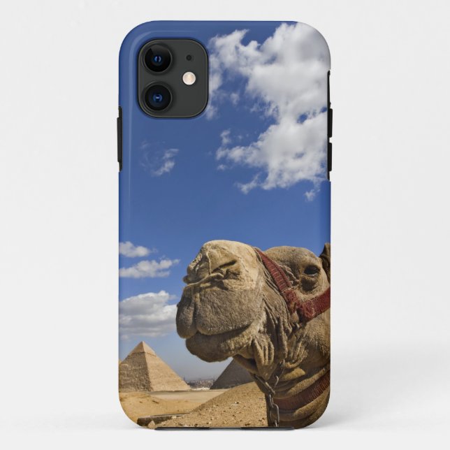 Coques Case-Mate iPhone Chameau devant les pyramides de Gizeh, Égypte, (Dos)
