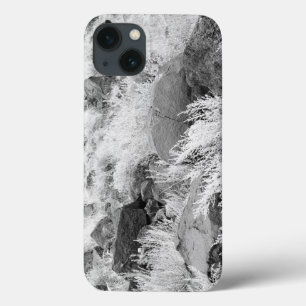 Etui iPhone Case-Mate Champ de Basalte