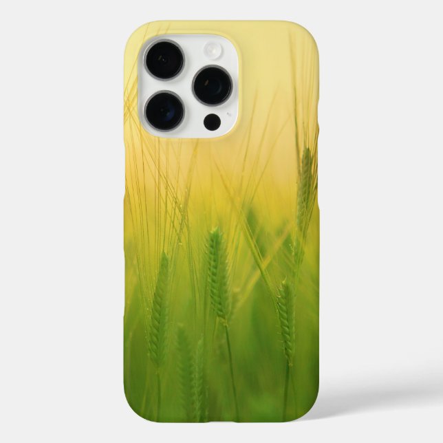 Coques Case-Mate iPhone Champ de blé vert avec ciel poussiéreux (Verso)