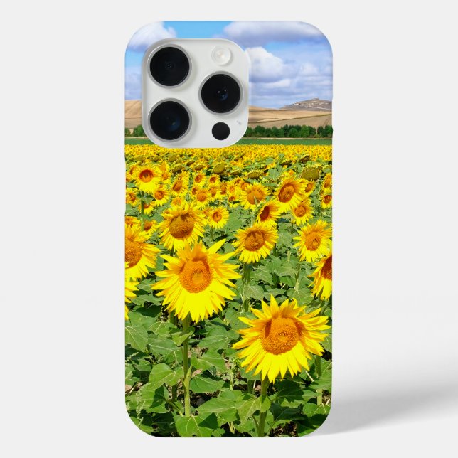 Coques Case-Mate iPhone Champ de tournesols (Verso)