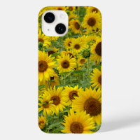 Champ de tournesols jaunes