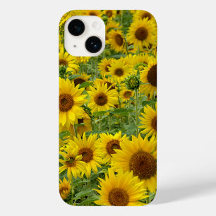 Coque Pour iPhone 14 Champ de tournesols jaunes