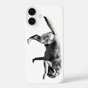 Coques iPhone 16 Charme photographique