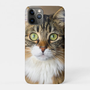 Case-Mate iPhone Case Chat