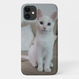Case-Mate iPhone Case chat américain à poil court blanc