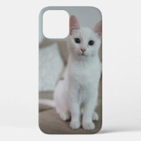 chat blanc | Zazzle_Growshop.